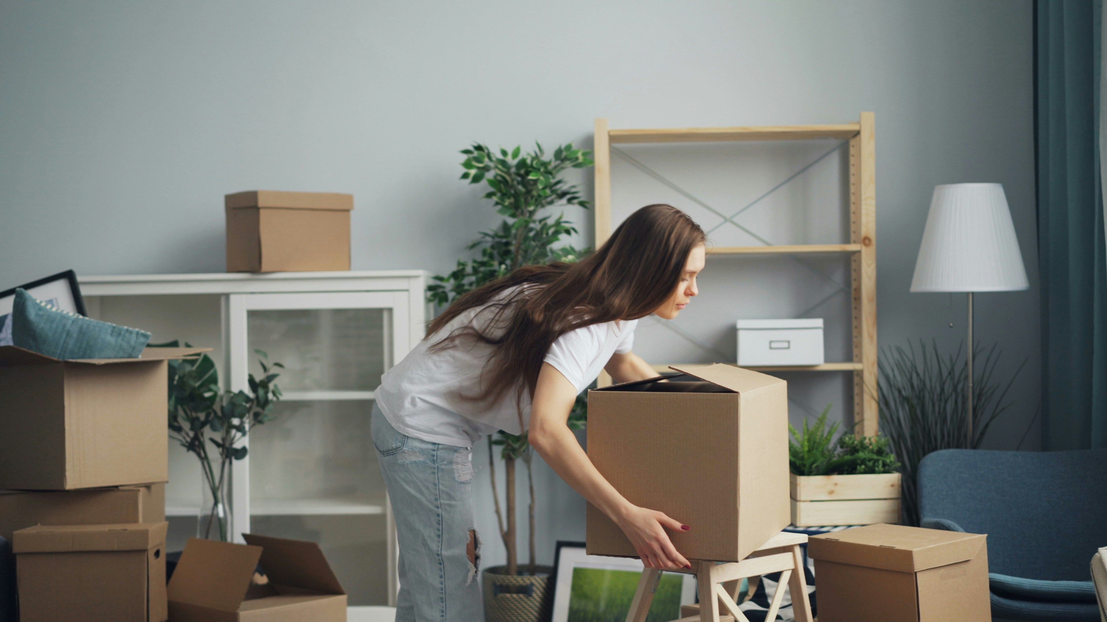 End of Lease Pest Control Caboolture
