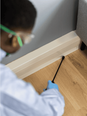 Termite Inspection vs Pest Control: What’s the Difference and When Do You Need Both?